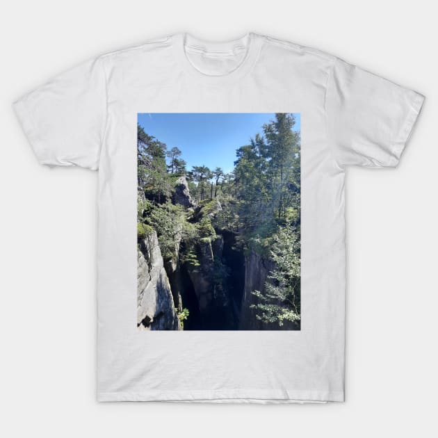 Crater in the forest T-Shirt by SBdesisketch